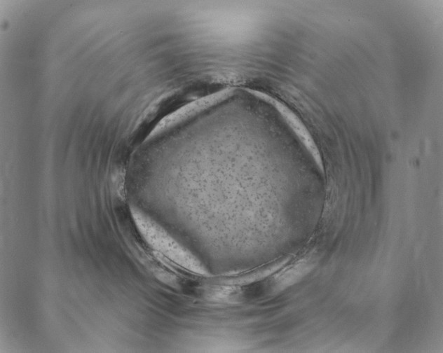 X0000088400096200706121246