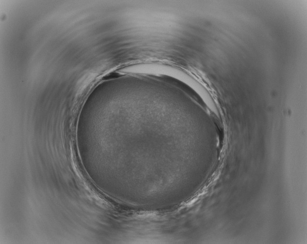 X0000088400097200706121245