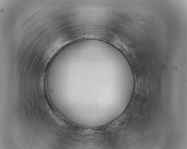 X0000088400098200706121245