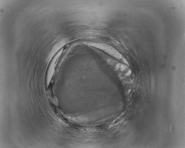 X0000088400099200706121245