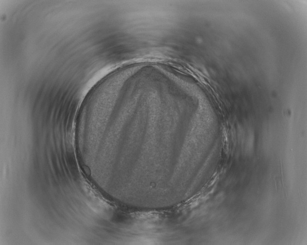 X0000088400100200706121245