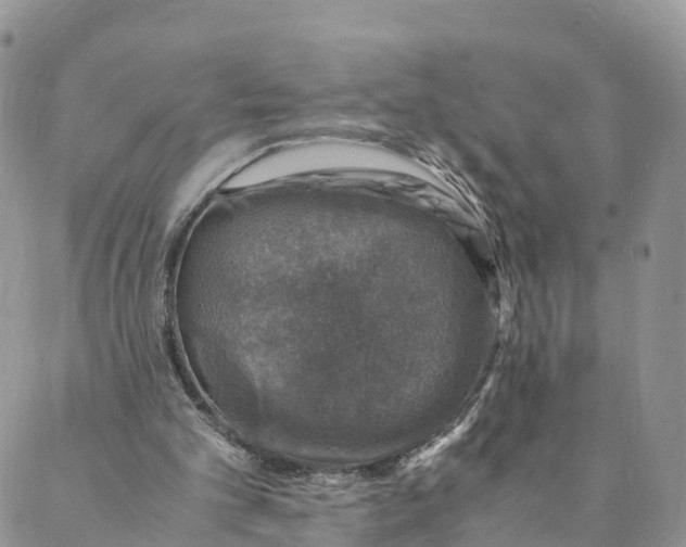 X0000088400101200706121245