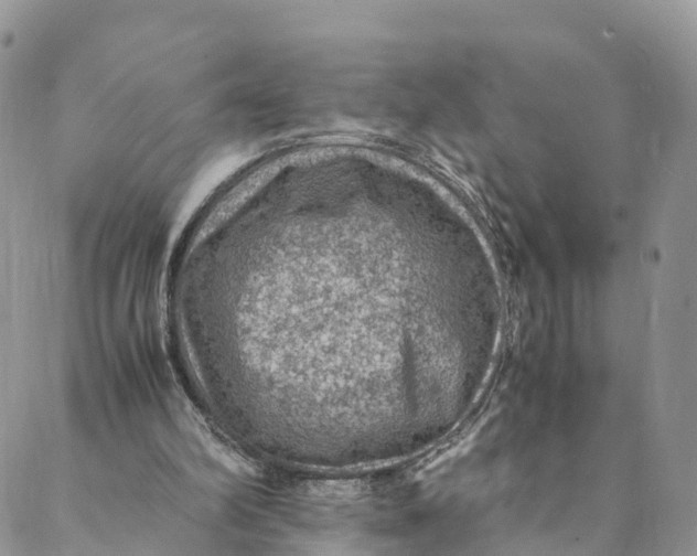 X0000088400102200706121245