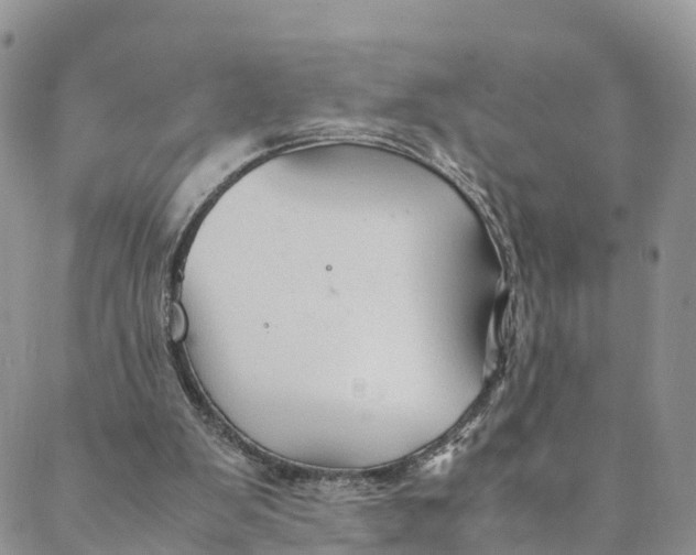 X0000088400103200706121245