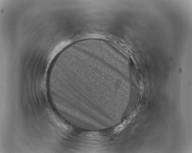 X0000088400104200706121245