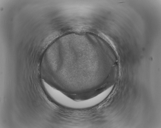 X0000088400105200706121245