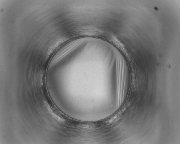 X0000088400106200706121245