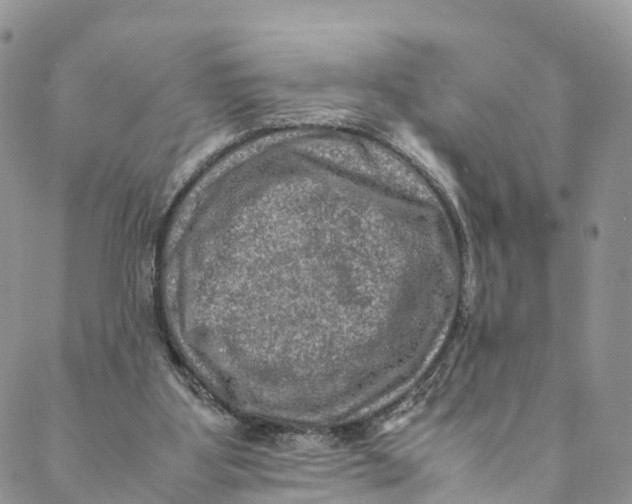 X0000088400107200706121245