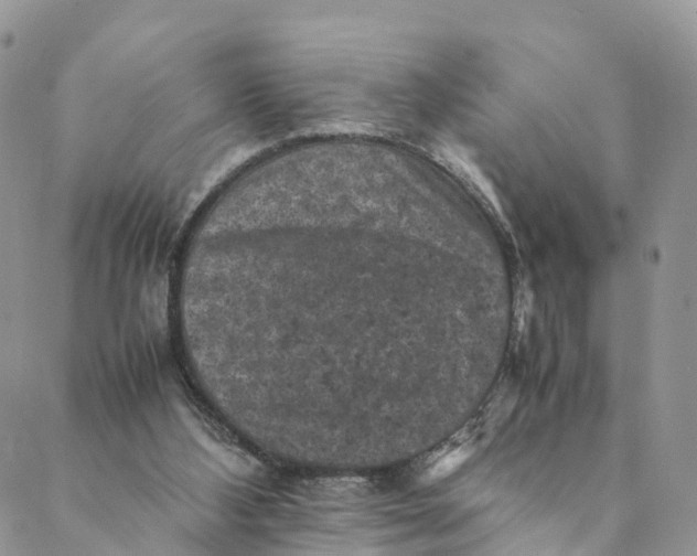 X0000088400108200706121245