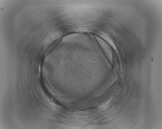 X0000088400109200706121245