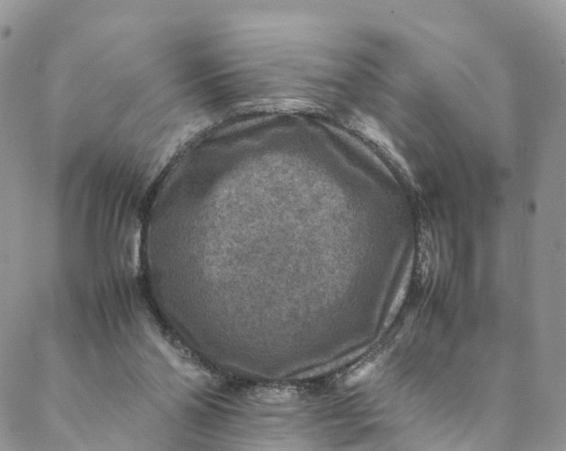 X0000088400110200706121245