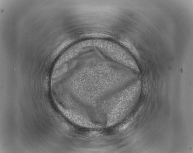 X0000088400111200706121245