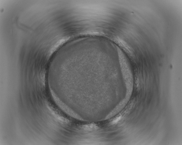 X0000088400112200706121245