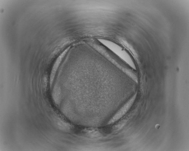 X0000088400113200706121245