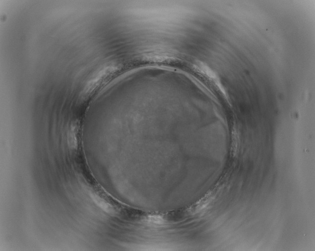 X0000088400114200706121245