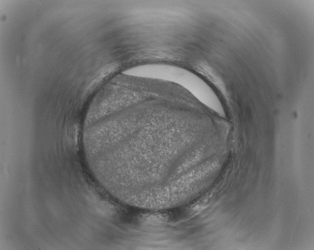 X0000088400115200706121245