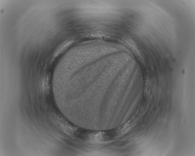 X0000088400116200706121245