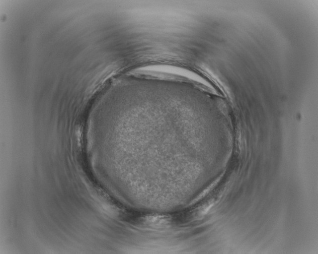 X0000088400117200706121245