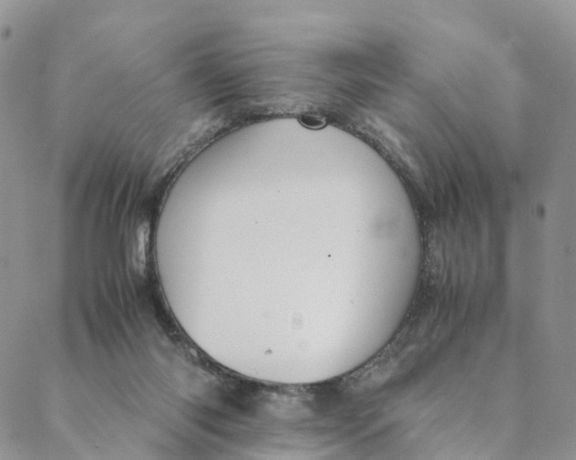 X0000088400118200706121245