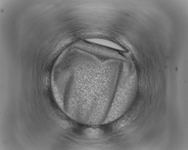 X0000088400119200706121245