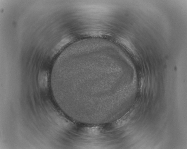 X0000088400120200706121244