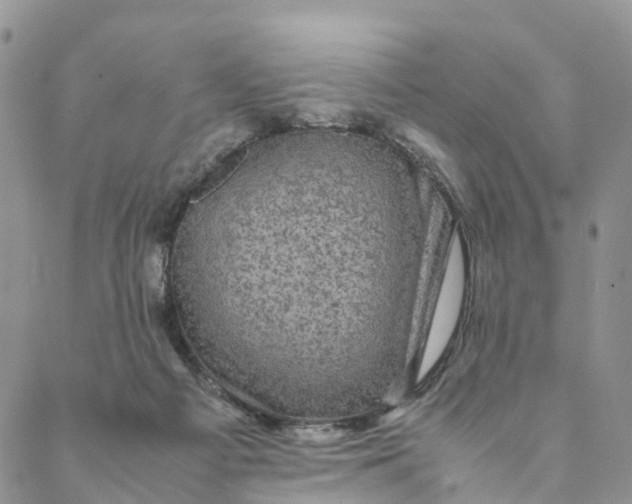 X0000088400121200706121244