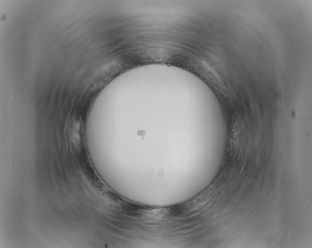 X0000088400122200706121244