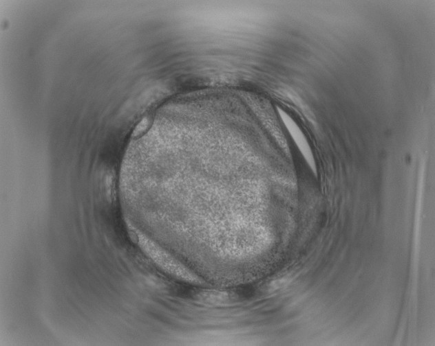 X0000088400123200706121244