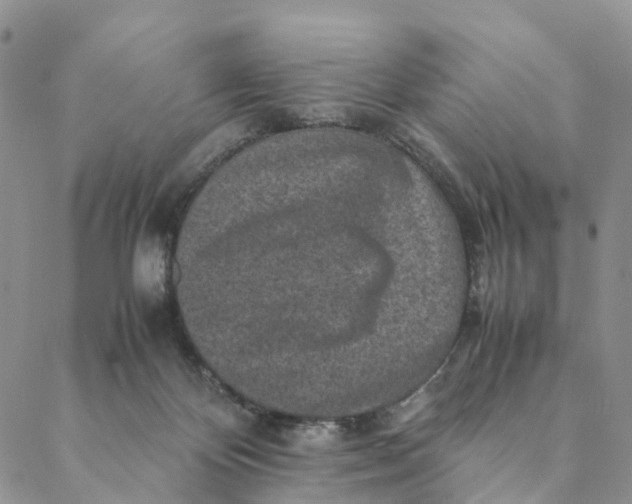 X0000088400124200706121244