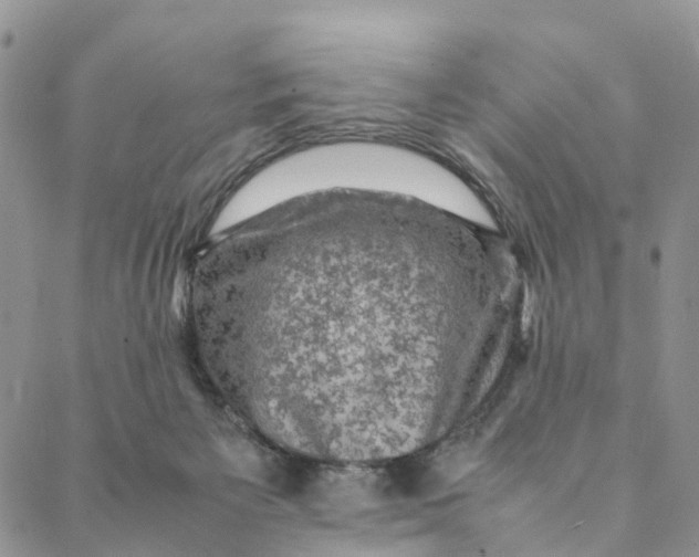 X0000088400125200706121244