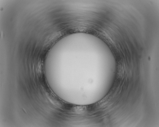 X0000088400126200706121244