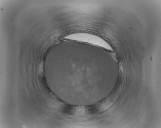 X0000088400127200706121244