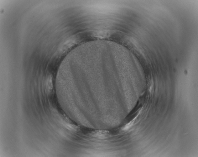 X0000088400128200706121244