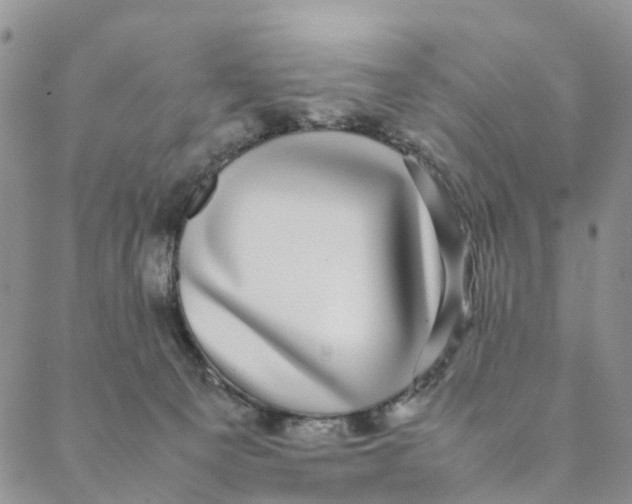 X0000088400129200706121244