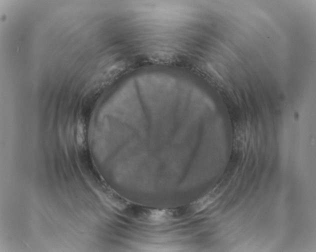 X0000088400130200706121244