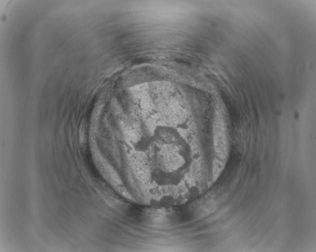 X0000088400131200706121244