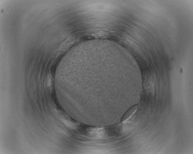 X0000088400132200706121244