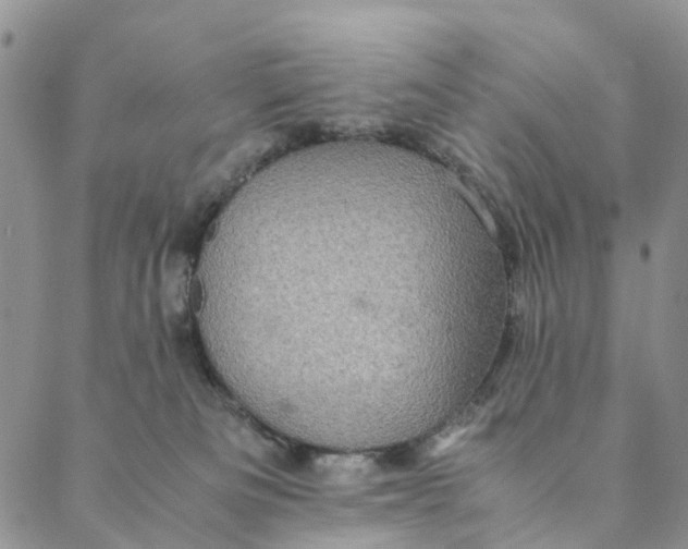 X0000088400133200706121244