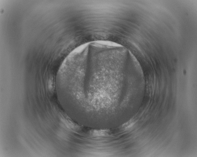 X0000088400134200706121244