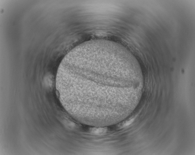 X0000088400135200706121244