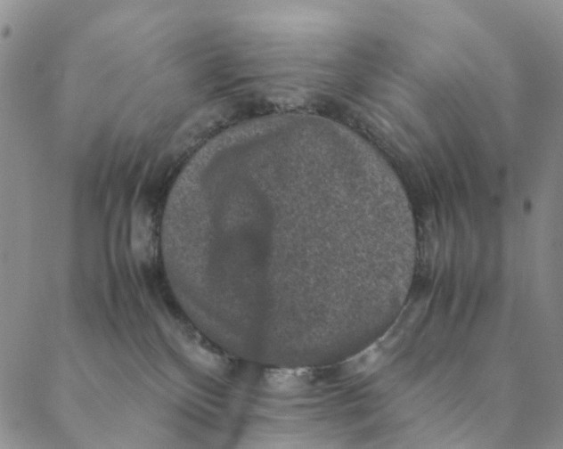 X0000088400136200706121244