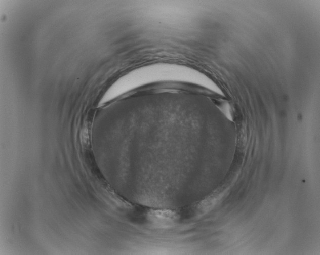 X0000088400137200706121244