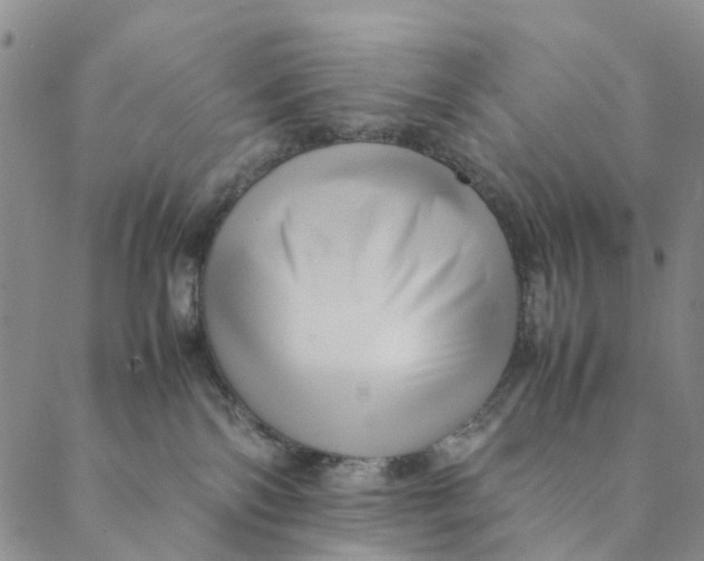 X0000088400138200706121244