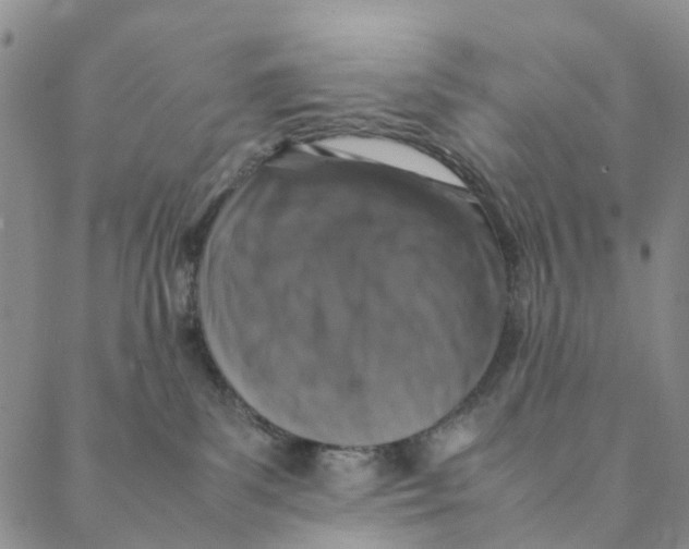 X0000088400139200706121244