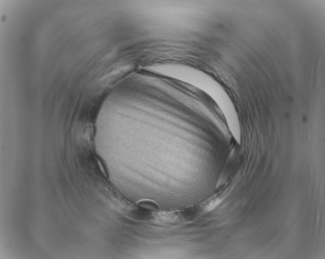 X0000088400141200706121244