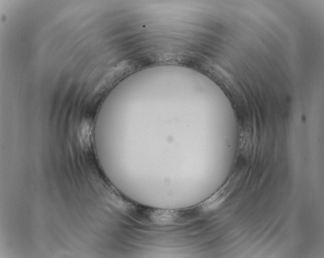 X0000088400142200706121244