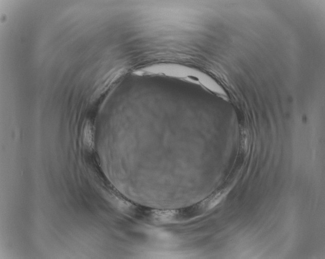 X0000088400143200706121244