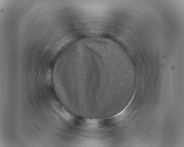 X0000088400144200706121244