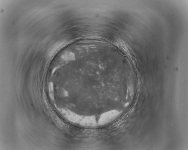 X0000088400145200706121243