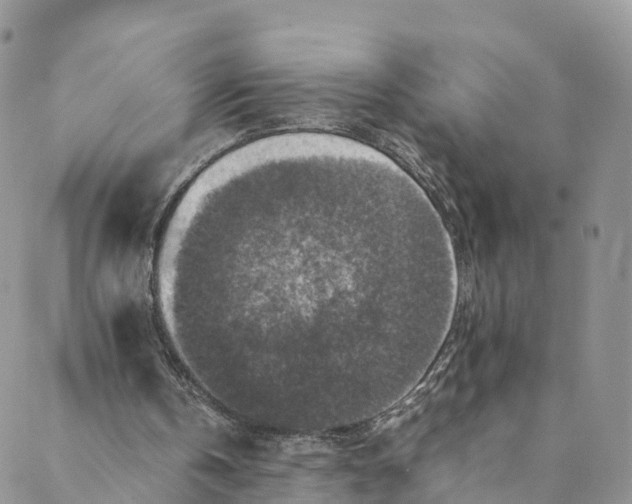 X0000088400146200706121243